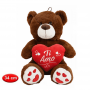 Orsetto Bruno Peluche con Cuore